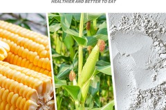 凤球唛玉米淀粉：永益食品匠心之作，家庭调味好选择