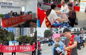 鼎和财险贵州分公司开展2025年防范非法金融活动宣传月活动