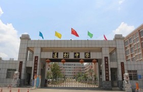 长沙教育资源：培养未来的明星之城